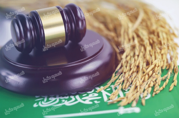 تشریفات ادای سوگند در محضر دادگاه